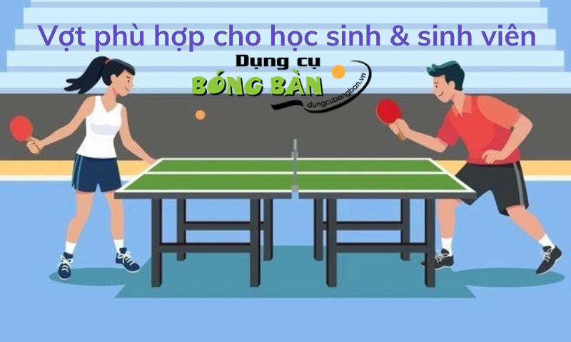 Kinh nghiệm mua vợt bóng bàn cho học sinh và sinh viên